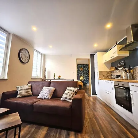 Apartment Deux Pieces Proche Colmar Sur La Route Des Vins Avec Sauna Prive